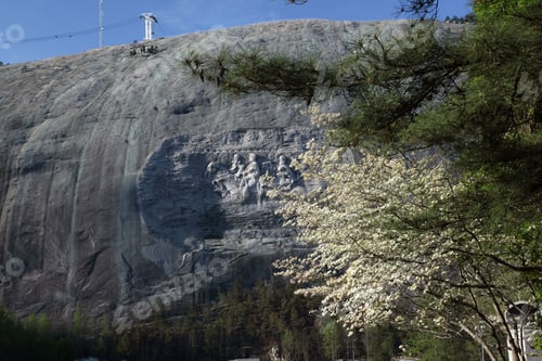 Preview: Stone Mountain Park In Springtime