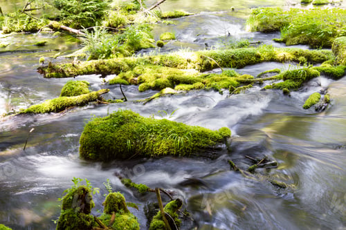 Preview: Close Up Of A Pristine Spring Flowing Thru The Woods In Oregon