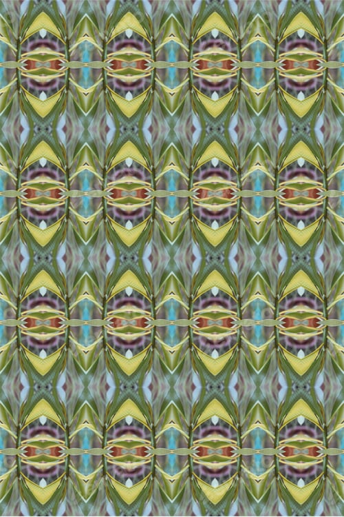 Preview: An Abstract Of Fresh Green Plumeria Rubra Leaves 0043