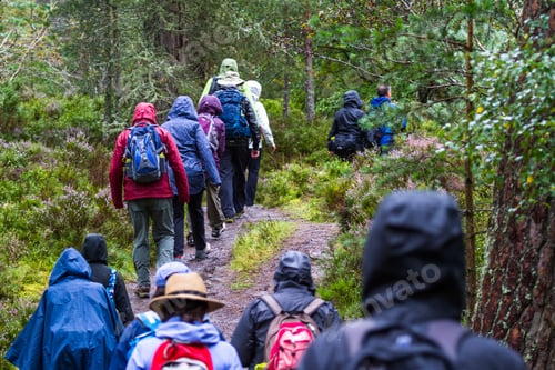Preview: Scotland - September 09 2019: Group Of Walkers Exploring The Scottish Highlands In The Cairngorm