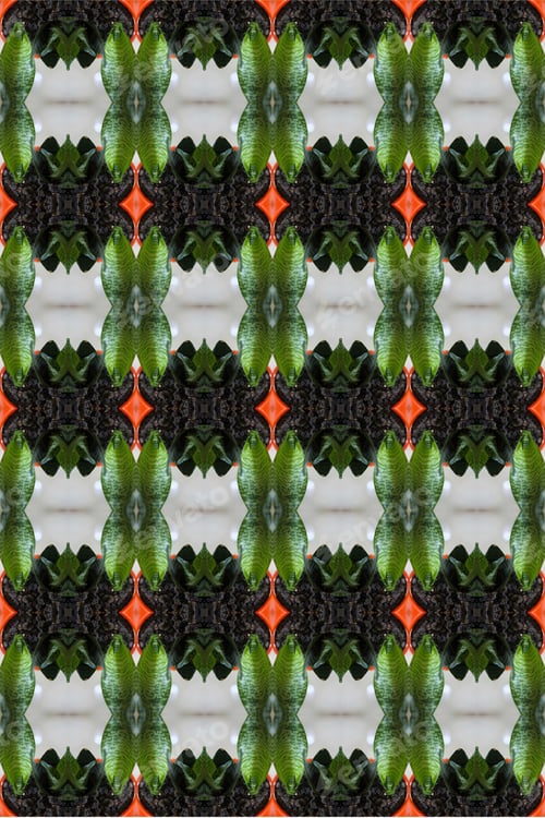 Preview: A Sansiveria House Plant Abstract With A Bright Orange Glazed Pot 0315