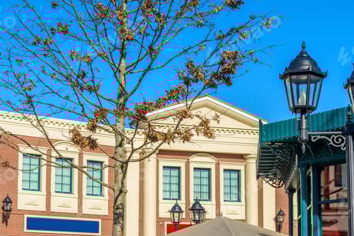 Preview: A Perfect Neighborhood. Houses In Suburb At Summer In The North America. Top Of A Luxury House With