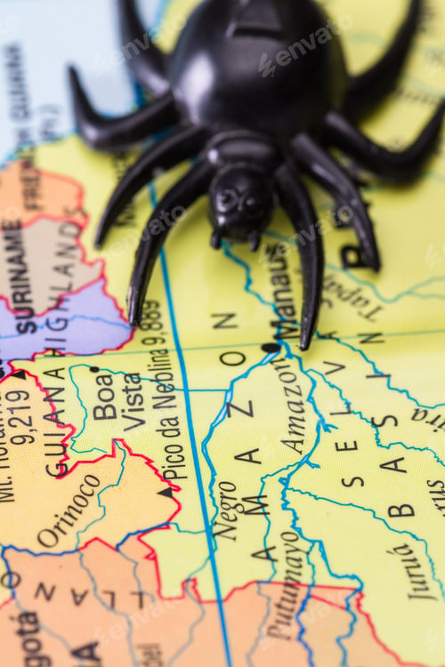 Preview: Close Up Of A Map With A Large Spider In The Frame And The Amazon
