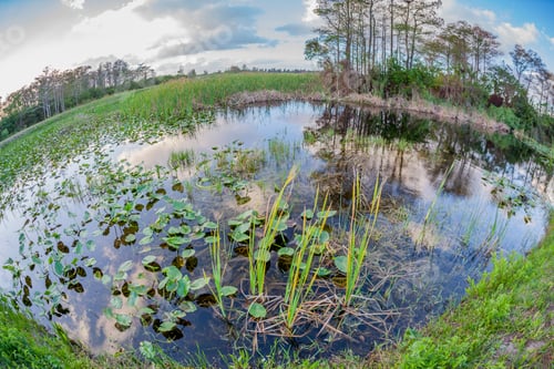 Preview: Everglades National Park Is An American National Park That Protects The Southern Twenty Percent Of