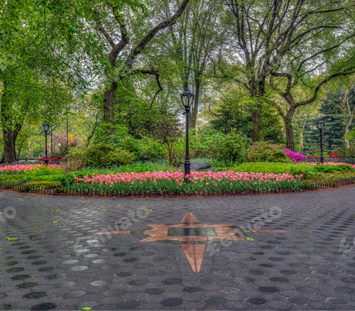 Preview: The Mall In Central Park, New York City