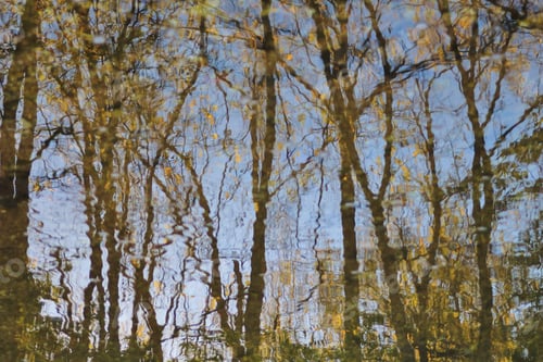 Preview: Reflection Of Life - Colors In Nature Background - Tranquility Of Imagination