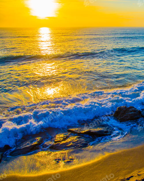 Preview: Different Textures On A Florida Beach In Early Morning Sun.