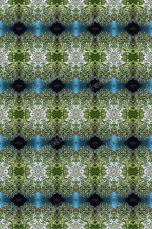 Preview: A Potted Pink Splash Plant Abstract With Lush Spotted Leaves 0276