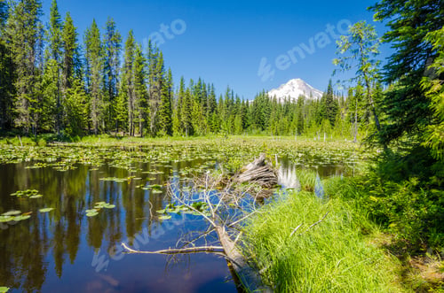 Preview: Majestic Mountain Lake With Mount Hood Background In Canada.