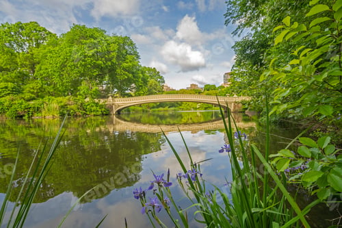 Preview: Bow Bridge, Central Park, New York City In Spring Early In Morning