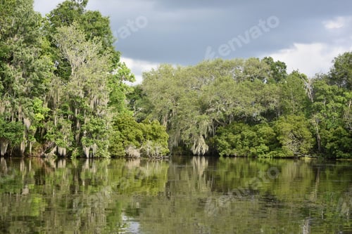Preview: Beautiful Bayou And Winding Water Way In Louisiana.