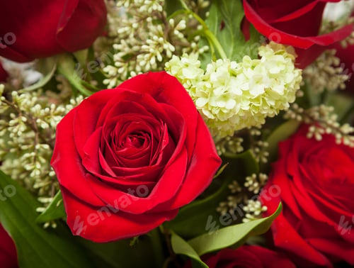 Preview: Detailed Close Shot Of Velvet Red Roses In Romantic Valentines Bouquet
