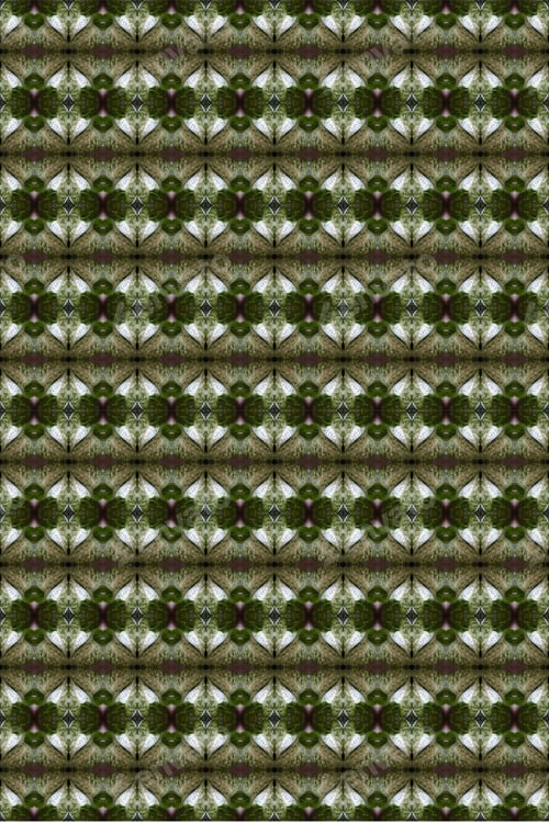 Preview: A Dieffenbachia Snow Plant Abstract With Lush Variegated Leaves 0298