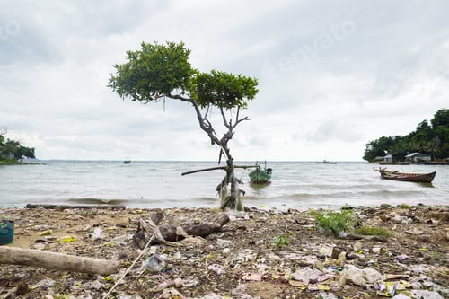 Preview: Image Of Polluted Beach Due To Littering.
