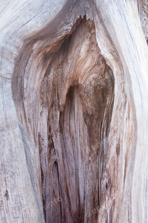 Preview: Natural Abstract Of Weathered Wood