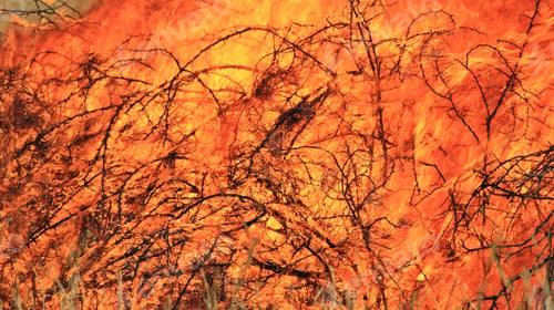 Preview: Flame And Fire Background - Colors Of Burning Heat - Iconic Tool Of Man'S Survival