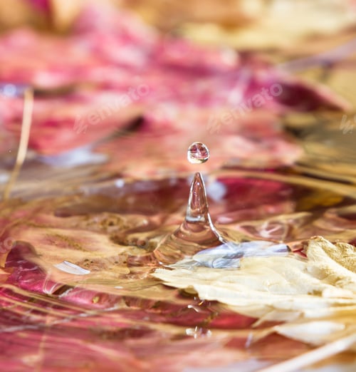 Preview: Studio Background With Autumn Leaves And Splashing Water Droplets For A Seasonal Concept