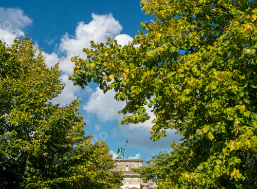 Preview: Unusual View Of The Brandenburg Gate In Berlin, Germany, Through The Autumn Trees