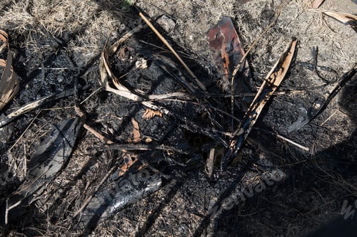 Preview: A Active Tar Seep In Los Angeles