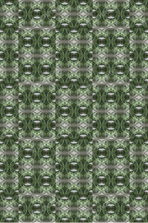 Preview: A Dieffenbachia Snow Plant Abstract With Lush Variegated Leaves 0519