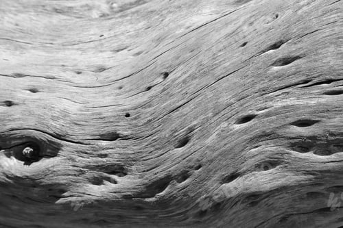 Preview: Wood Background - Black And White Texture Of Hard Wood