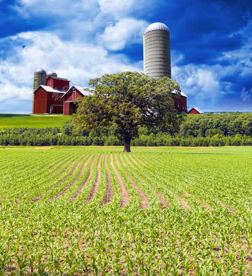 Preview: American Countryside