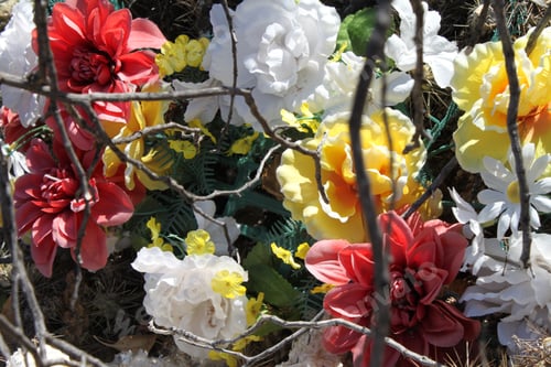 Preview: A Bouquet Of Pink Yellow And White Carnations