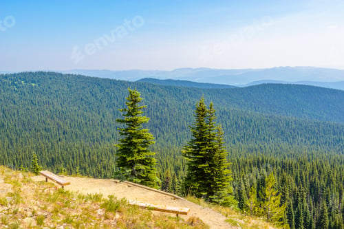 Preview: Beautiful Mountain Trail. Staircase And Picnic Bench. Blackwall Peak Trail At Manning Park In