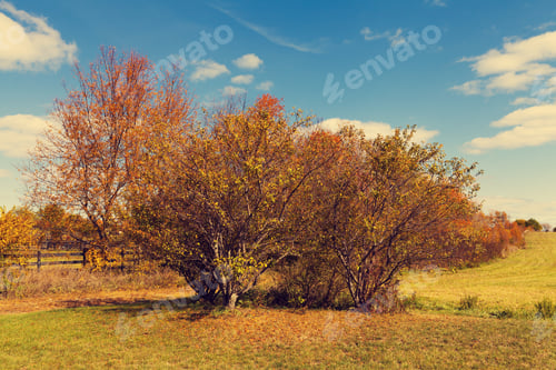 Preview: Fall On American Countryside
