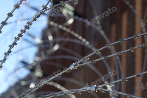 Preview: Large Loops Of Sharp Razor Wire Hang On Bollard Style Border Wall At The Us-Mexico Border 5071