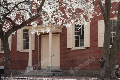 Preview: Flowering Tree Against A Brick Building And Door