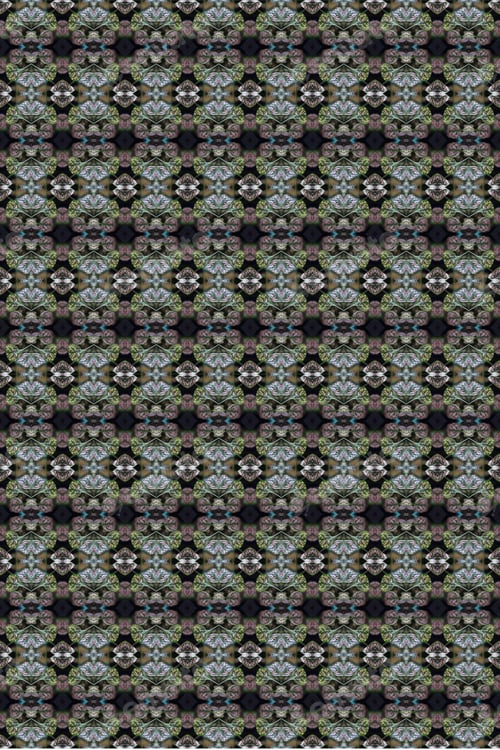 Preview: A Potted Pink Splash Plant Abstract With Lush Spotted Leaves 0273