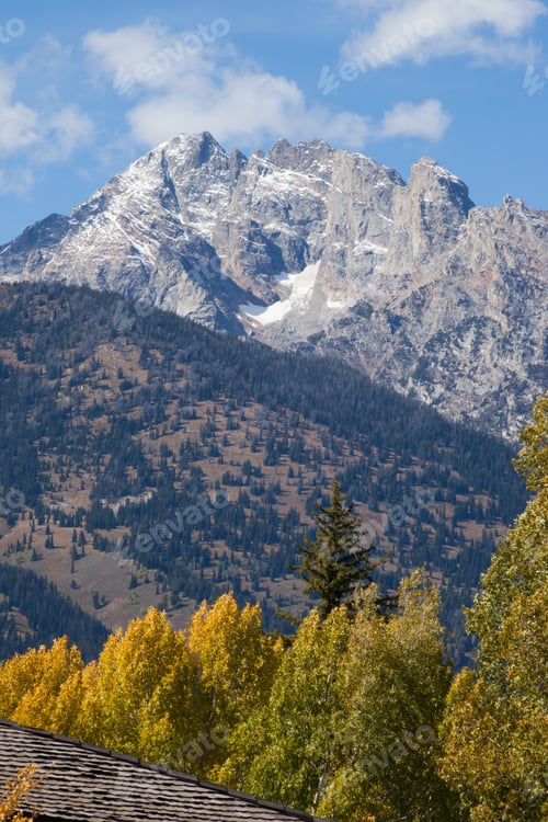 Preview: Mountain With Snow And Fall Trees In The Foreground