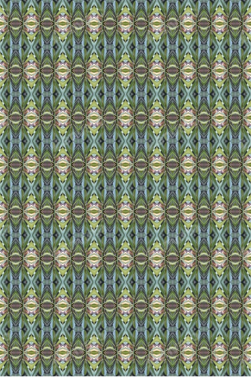 Preview: An Abstract Of Fresh Green Plumeria Rubra Leaves 0035