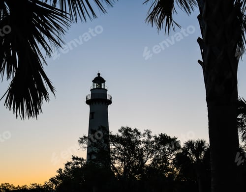 Preview: Palm Fronds Framing The St Simons Island Lighthouse In The Early Dawn