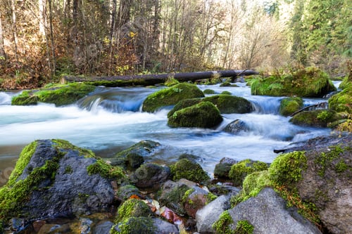 Preview: Section Of The North Umpqua River With Water Cascading Over The Mossy Green Rocks And Bare Golden