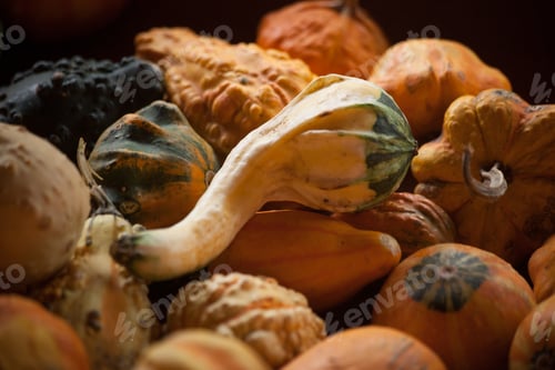 Preview: Stack Of Gourds From The Harvest