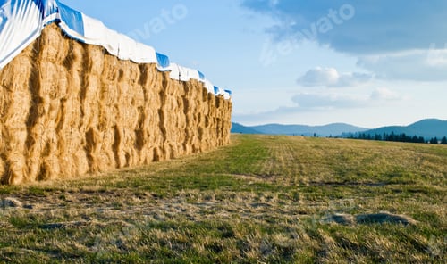 Preview: Stacks Of Hay Bails On An Open Field In North Idaho