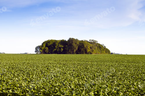 Preview: Countryside Landscape With Blue Sky