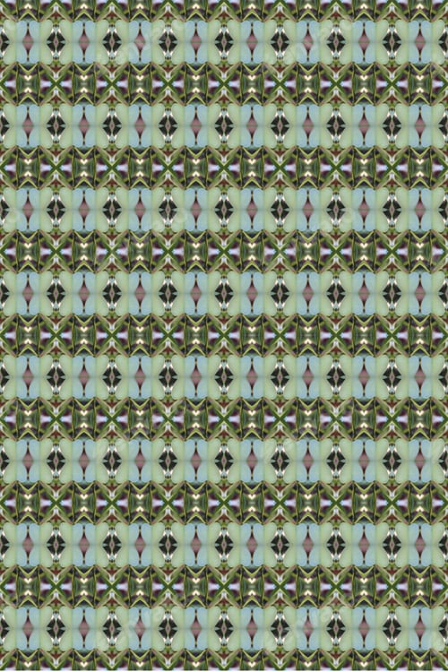 Preview: An Abstract Of Fresh Green Plumeria Rubra Leaves 0038