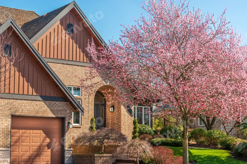 Preview: A Nice Entrance Of A House.
