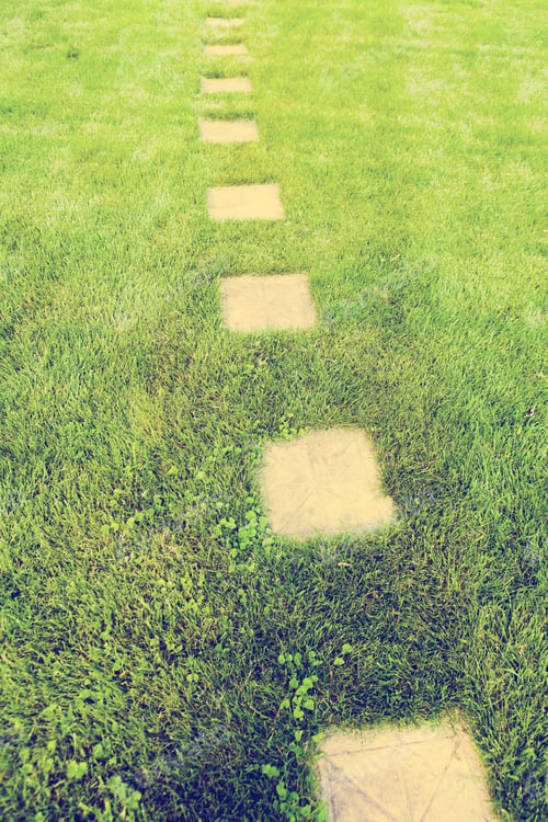 Preview: Garden Path