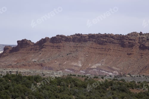 Preview: Landscape Of Dirt Road Going Off Through The Trees And Brush