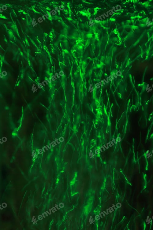 Preview: Rising Air Bubbles Of Color - Colorful Backgrounds - Emerald Green
