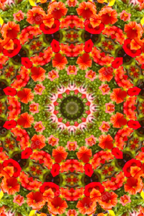 Preview: Abstract Of A Calibrachoa Plant With Bright Multicolor Flowers 1849