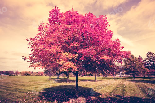 Preview: Autumn
