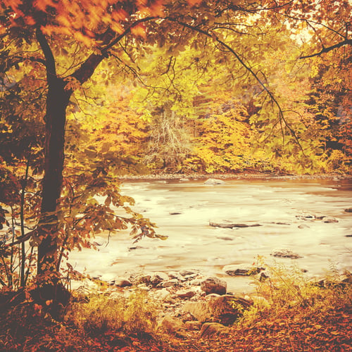 Preview: Beautiful Autumn Foliage On Trees By A River