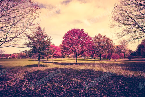 Preview: Autumn