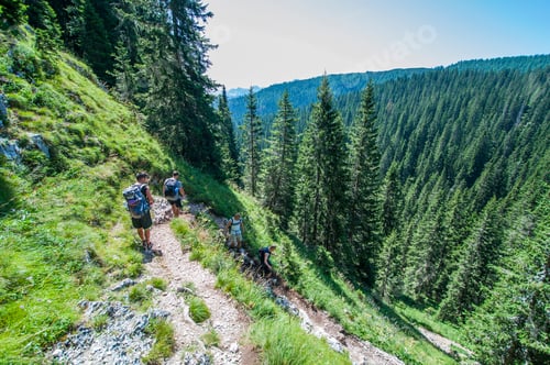 Preview: Landscape Photo Of People Hiking In The Woods In The Julian Alps With Their Backpacks. Shot In