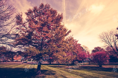 Preview: Autumn